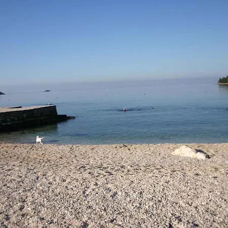 Apartment In Rovinj/istrien 11491 Rovinj