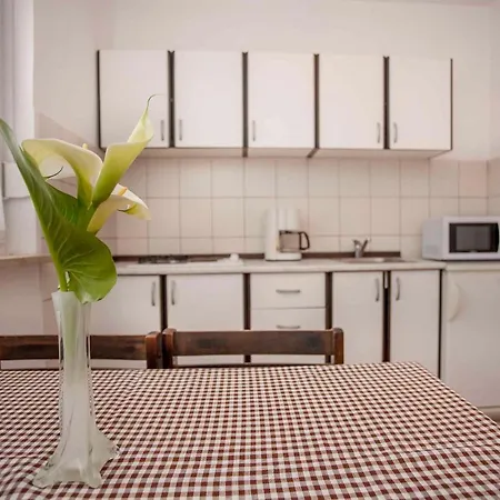Apartment In Rovinj/istrien 11491